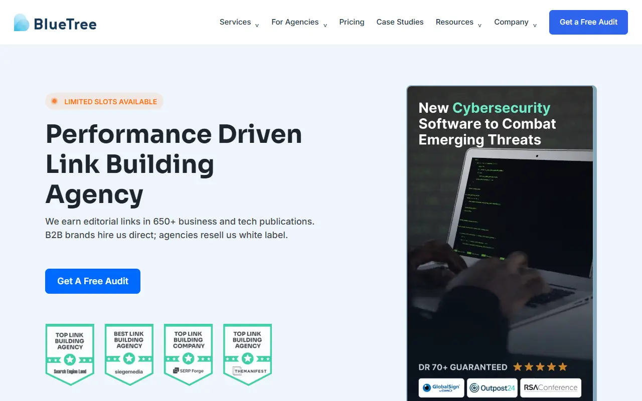 BlueTree Digital homepage with the headline "Performance Driven Link Building Agency"